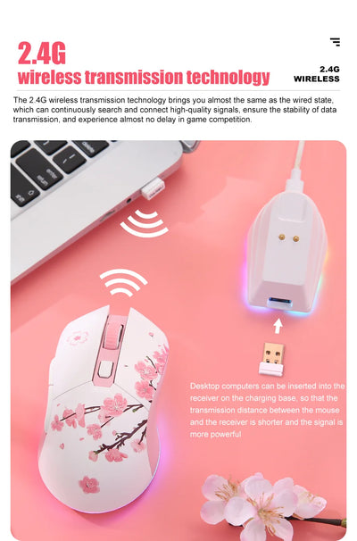 DAREU Dual Modes Gamer Mouse RGB 2.4G Wireless Wired Gaming Mice Built-in 930mAh Recharging Battery with Macro Set for PC Laptop