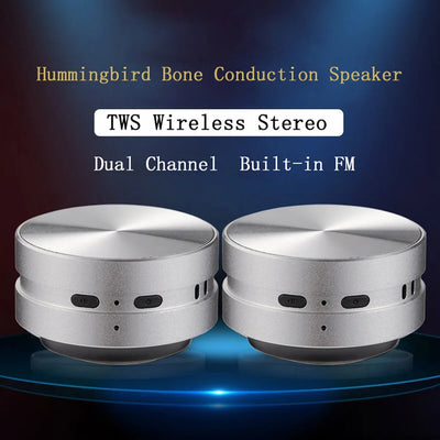 Bone Conduction Speaker Wireless Bluetooth-Compatible TWS Stereo Dual Sound Audio Box Mini Humbird Speaker With Call FM Radio