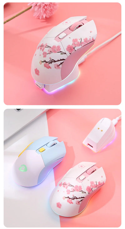 DAREU Dual Modes Gamer Mouse RGB 2.4G Wireless Wired Gaming Mice Built-in 930mAh Recharging Battery with Macro Set for PC Laptop
